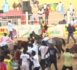 ​Drapeau grand prix chef de l'État 2023: Tawfekh de Oumar Bao remporte la mise