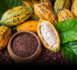 Cacao: la Côte d'Ivoire suspend la vente de contrats d'exportation en raison des intempéries