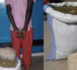 Sedhiou/Lutte contre le trafic de drogue: le 16 Kg de yamba saisis sur un individu armé
