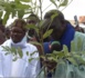 TOUBA - Les Baay Faal à l’heure du reboisement / Cheikh Bass Abdou Khadre transmet le message de Serigne Mountakha Mbacké