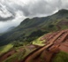 Guinée: accords signés pour la construction d'infrastructures d'un important gisement de fer
