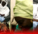 Magal de Touba/ Aminata Touré chez le khalife général des mourides: " Amna yakaar ci yow boubakh"( Serigne Mountakha Bassirou Mbacké).