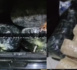 Lutte contre le trafic de drogue : 140 kg de Yamba saisis à Mbour et Marsassoum.