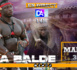 [ 🔴 DIRECT ] Open presse : Ama Baldé en démonstration de force au stade Alassane Djigo de Pikine