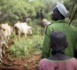 ProAct : Un Bouclier Contre la Faim en Afrique de l’Ouest et au Sahel