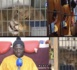 ( vidéo) TOUBA - Sadaga présente au Khalife Général des Mourides 2 lions fraîchement débarqués d’Afrique du Sud