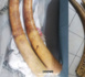 Criminalité faunique à Dakar: Un trafiquant de faune arrêté en possession de deux défenses d'éléphant et de 90 bijoux de luxe en ivoire sculpté