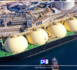 Accord Allemagne-Nigeria sur la fourniture de gaz et les énergies vertes