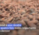 Côte d'Ivoire: peur sur la récolte de cacao après de trop fortes pluies