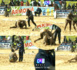 [ VIDEO ] Lutte : Zarco le « destructeur » freine Diène Kaïré et l’envoie au top 5 !