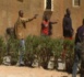 Me Papa Mor Niang avocat de Ndiaga Diouf : " Il n’y a pas lieu à douter de la culpabilité de Barthélémy Dias"