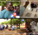 Sibassor / Journées de consultations médicales et de dons de médicaments : Le Pr. Ousseynou Diop enrôle des médecins pour la prise en charge des populations
