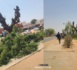 Déguerpissement au Croisement Saly : arbres élagués, vendeurs déplacés...