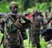 2 900 soldats de l'armée sud- africaine déployés en soutien de la FARDC contre le M23