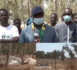 Litige foncier à Saly/ Les populations réclament leur forêts... De gros bonets indexés " Nous exigeons l'arrêt immédiat des travaux et interpelons les autorités " (Pape Amadou Diagne )