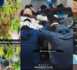 Opération de patrouilles:  La gendarmerie dresse un bilan de  28 interpellations, 99 cornets, 14 comprimés d'ecstasy, et deux moto saisis