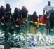 La révolution du secteur de la pêche: Une urgence pour les nouvelles autorités