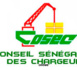 Ndeye Rokhaya Thiam devient la nouvelle directrice du COSEC