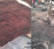 Gassane :  Un incendie décime 30 concessions, des semences et beaucoup d’engrais partis en fumée