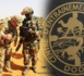 Exercice multinational African Lion 2024 : 900 militaires Sénégalais, Américains et Néerlandais en manœuvre à Dodji