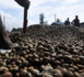 CRD commercialisation anacarde / Ousmane Thiam, Sg syndicat routiers/Ziguinchor : « le ministre du Commerce a pris la décision de tout acheminer à partir du port »