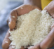 Le kg du riz parfumé indien connaît une hausse de plus de 50 Francs CFA