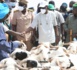 Tabaski/ Linguère : En tournée au foirail de Dahra, le  ministre Secrétaire d'État,  Alpha Ba présage des moutons à suffisance