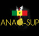 Appel à candidature ANAQ-Sup