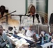 Vacances citoyennes 2024 : le ministre de la jeunesse annonce un programme agricole, les jeunes sont d'attaque !