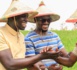 Vacances agricoles Patriotiques: Ngagne Demba Toure et la JPS comptent cultiver 2,5 hectares à Fass-Boye