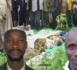 Affaire Boffa-Bayotte : Les familles de René Capi Bassène et Omar Ampoi Bodian demandent l’implication des nouvelles autorités…