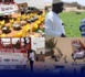 Mbane/ Réponse au conseiller Municipal Sidaty Sow: AU NOM DE LA VERITE ! (Abdoulaye KA )