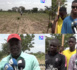 Mbour/ cri de coeur des Pastefiens :"Oú est l'engrais dont le gouvernement parle ? La jeunesse patriotique court  toujours derrière l'engrais. Y'a des choses à rectifier !" (Ousmane Diop Pastef)