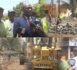 Travaux de voirie à Ouakam et Ngor : Barthélémy Dias en visite de terrain dans les deux communes