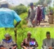KOLDA : Moussa Baldé (BBY/APR) président du Conseil départemental de Kolda visite les communes de Dialambéré et de Dabo...