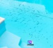 Insolite en Pologne : Dans la piscine, l’immigré clandestin Sénégalais se soulageait devant le public