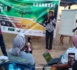 Kounkané (Kolda) : Ecobootcamp, une école pour la transition écologique et la protection de l’environnement…