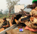 L'armée tchadienne accusée d'avoir tué par erreur des "dizaines" de pêcheurs au Nigeria, selon des sources locales