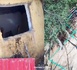 KOLDA : La ferme "vision verte" victime de vol...