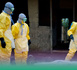 Birkelane : Un cas  de Fièvre hémorragique Crimée-Congo signalé  par l’Institut Pasteur
