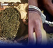 Ziguinchor : S. Mbaye interpellé  avec 03 kg de drogue