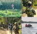 Opération de sécurisation dans les îles Karone : Des hectares de chanvre indien détruits
