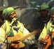 DMX - Jazz Griots : Miziku Tey records réinvente le Jazz sénégalais à travers l’héritage des griots et les mémoires africaines