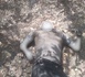 Saré Dansa (Sédhiou) : Un homme retrouvé mort dans la forêt