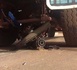 Thiès : Un camion tue un jeune conducteur de moto Jakarta