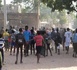 Ziguinchor : trois élèves du Cem Boucotte Sud exclus définitivement de l’école