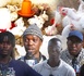 Pénurie de poulets à la Korité : Les éleveurs face à la montée des prix et la crise alimentaire