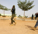 Nigeria: attaque jihadiste dans le nord-ouest, 16 morts (police)