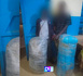 Baba Garage : Saisie spectaculaire de 51 kg de chanvre indien, deux trafiquants dans les filets de la gendarmerie