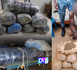 Plus de 390 kg de drogue saisis, un trafiquant arrêté : la Gendarmerie intensifie la pression